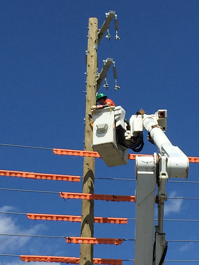 live-wire-cleaning-wickens.jpg